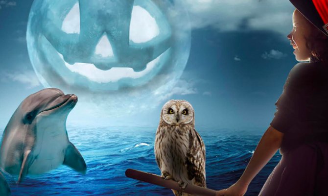 Riccione festeggia Halloween tra zucche e squali
