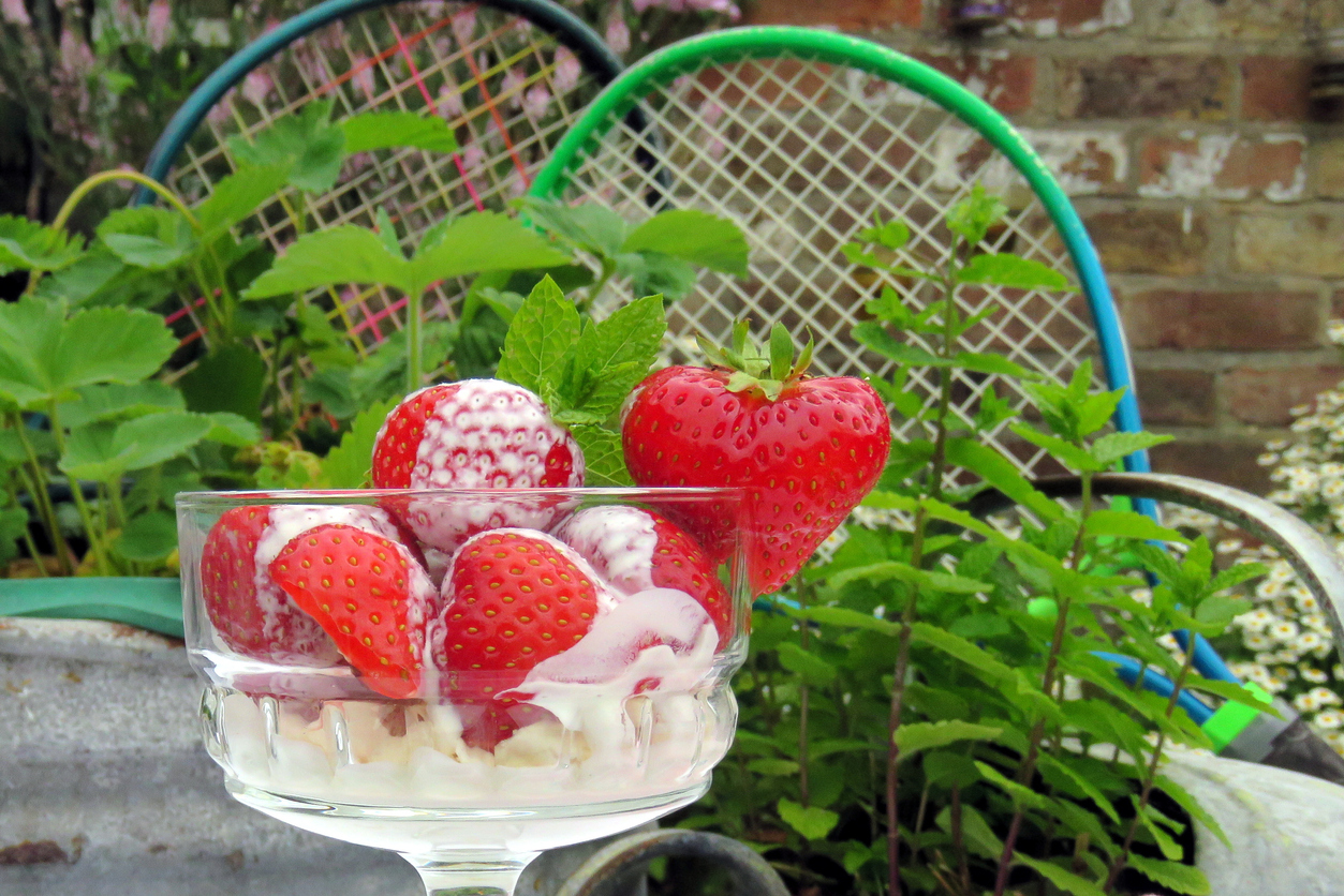 Wimbledon, tra un dritto e un rovescio, fragole e panna vegan per tutti!