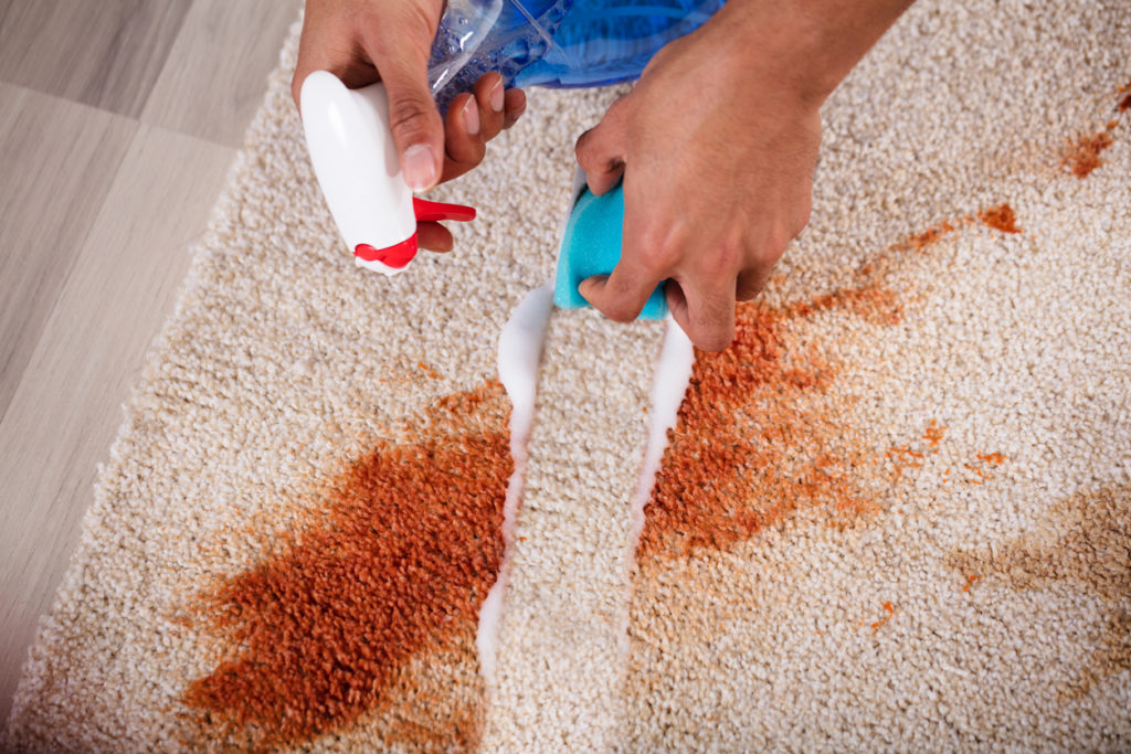 Smacchiare i tappeti: trucchi e consigli per l'igiene della casa